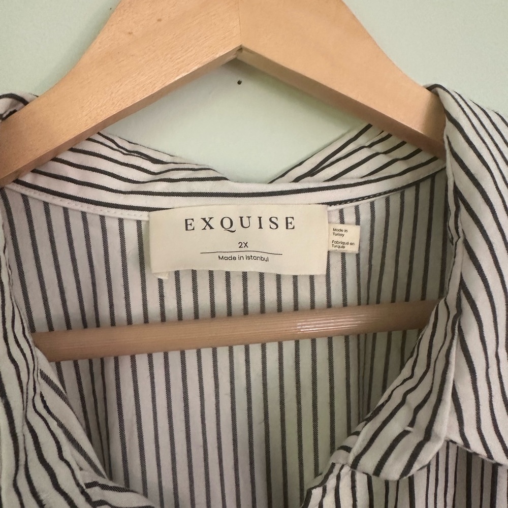 Anthropologie Exquise Tobie striped shirt dress - Picture 5 of 11